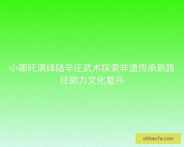 小哪吒演绎陆辛庄武术探索非遗传承新路径助力文化复兴