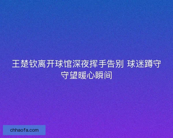 王楚钦离开球馆深夜挥手告别 球迷蹲守守望暖心瞬间 王楚钦离开球馆深夜挥手告别 球迷蹲守守望暖心瞬间