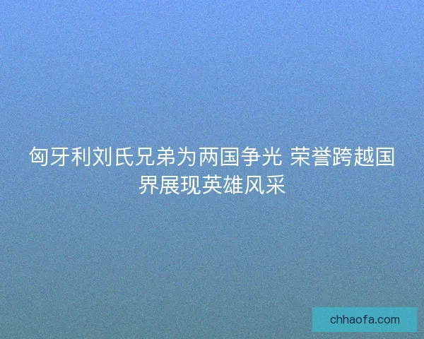 匈牙利刘氏兄弟为两国争光 荣誉跨越国界展现英雄风采